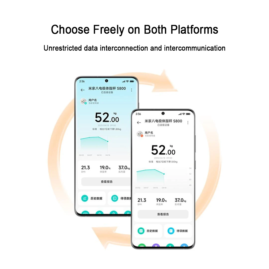 미지아 스마트 체지방 측정기 S800 8전극 블루투스  - Body Fat Scale Smart 리뷰 및 가격